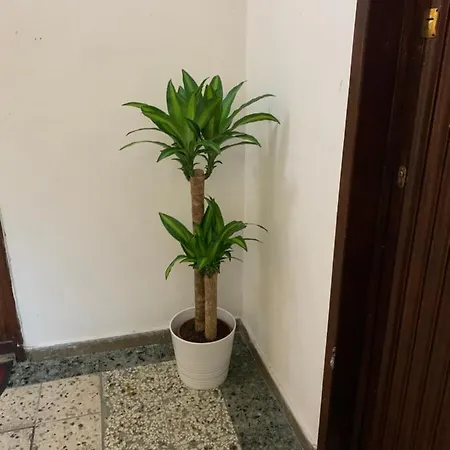 شقة Train Station بيزا